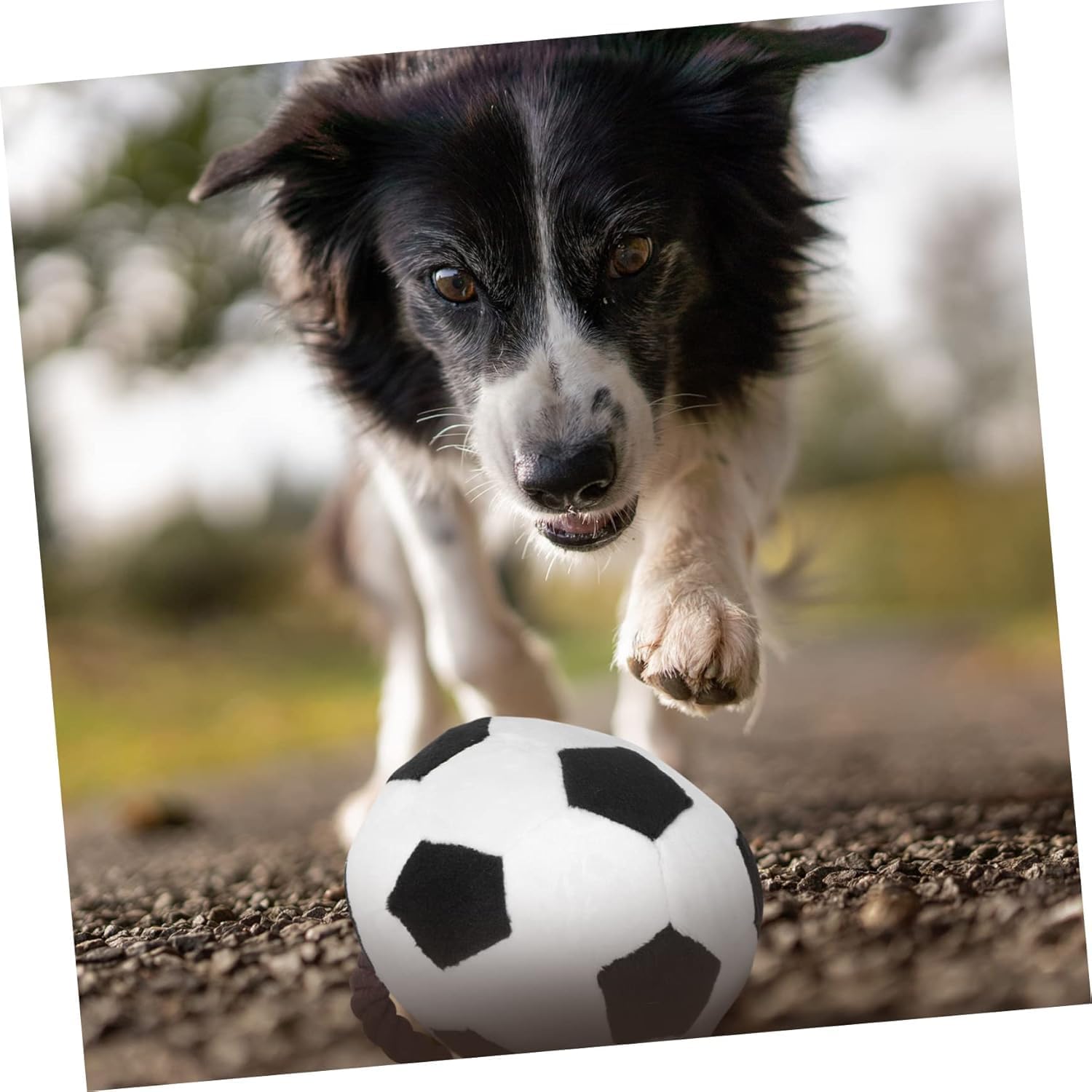 Interactive Dog Soccer Ball Toy with Rope Straps – Durable Tug of War Dog Ball for Aggressive Chewers, Mental Stimulation & Fetch Training | Dog Toys to Keep Dogs Busy for Small, Medium & Large Dogs - image 5